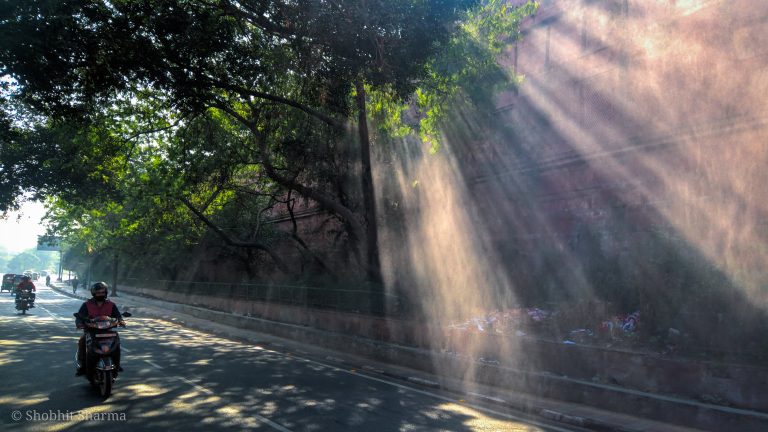 morning sun